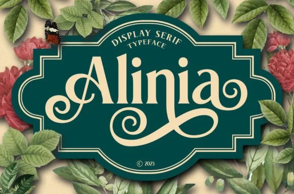 2 Alinia Font