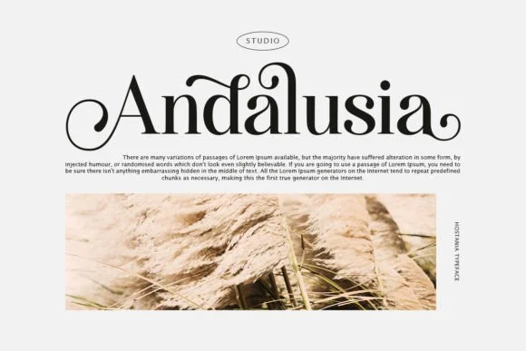 3 Hostania Font 