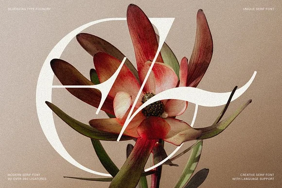 2 Amelie Fierce Display Serif Font