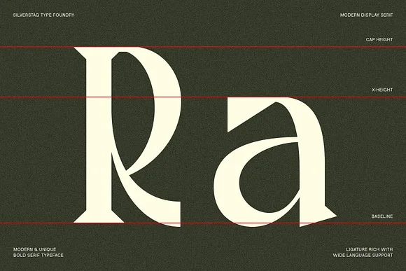 2 Tangled Rockaway Serif Font
