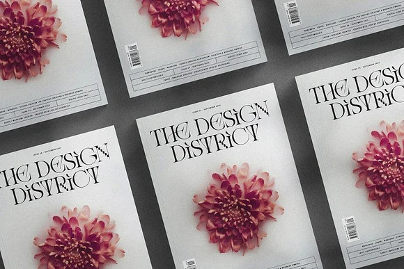 3 Amelie Fierce Display Serif Font