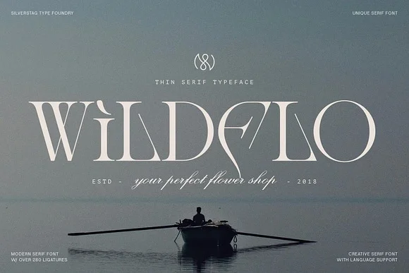 4 Amelie Fierce Display Serif Font