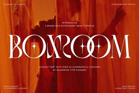 Boxroom Modern Serif Fonts