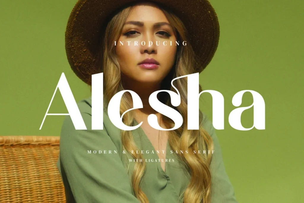 Alesha Modern Sans Font