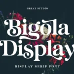 Bigola Display Font