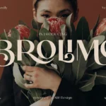 Brolimo Typeface Font