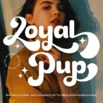 Loyal Pup - Retro Groovy Font