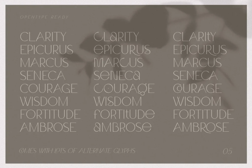 4 Claro Elegant Font Family Delicate Sans Serif Font