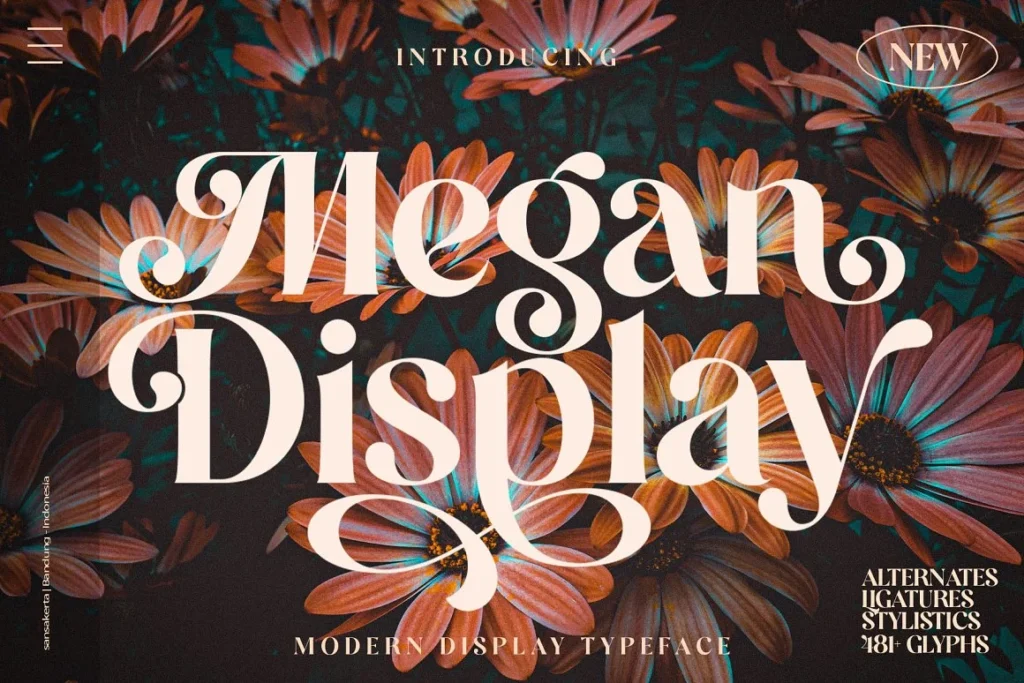 Megan Display Font A Sans Serif Font