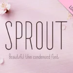 Sprout Typeface Sans Serif Font