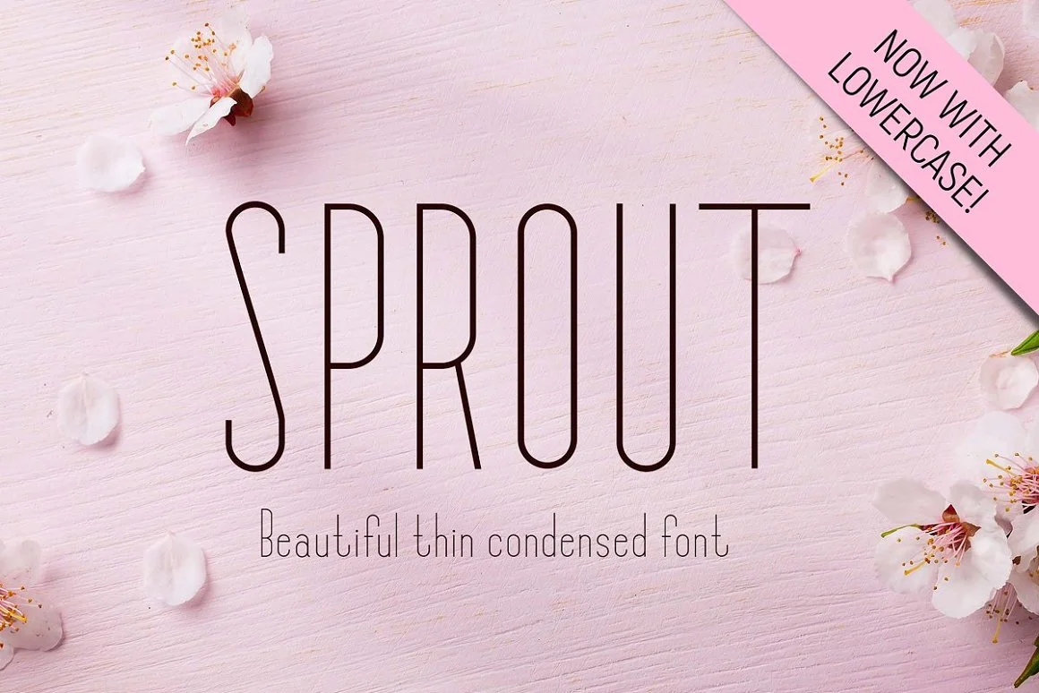 Sprout Typeface Sans Serif Font